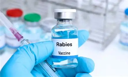 Rabies Vaccine